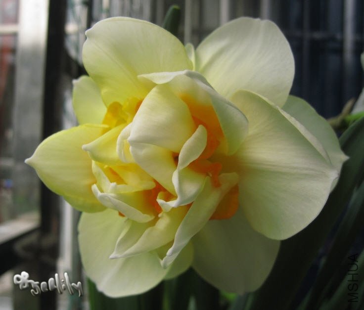 2010-03-20 ��ˮ��Ӣ����д=do.jpg