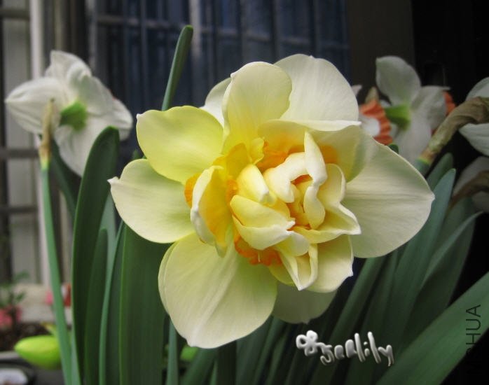 2010-03-20 ��ˮ��Ӣ��-do.jpg