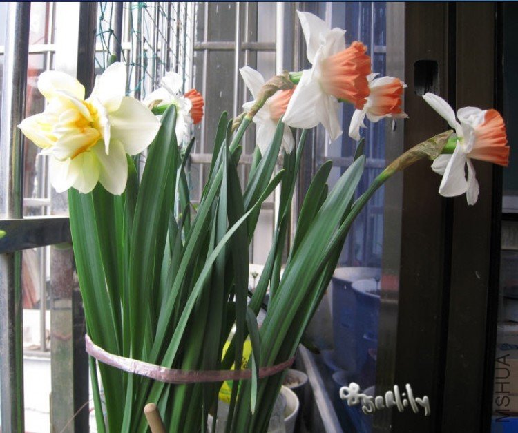 2010-03-20 ��ˮ��Ⱥ��=do.jpg