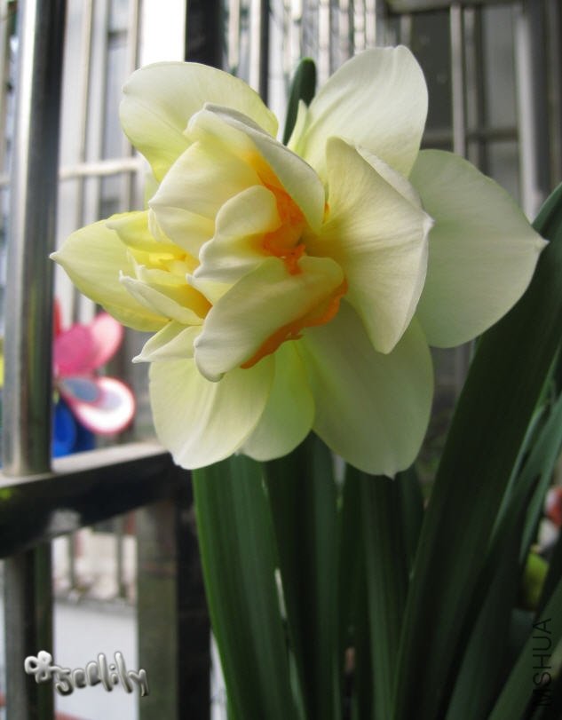 2010-03-20 ��ˮ��Ӣ��-��Ӱ��д-do.jpg