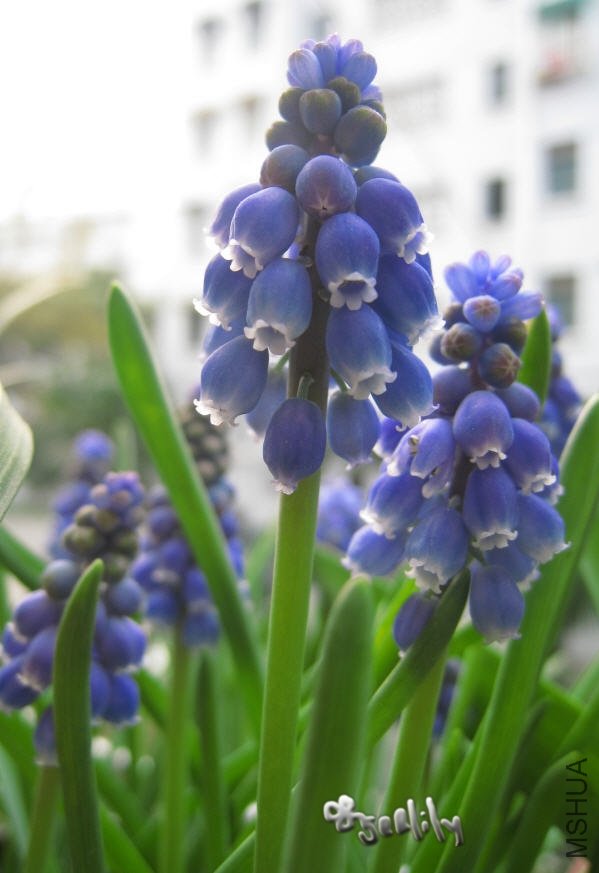 2010-03-20 ���ѷ���д-do.jpg