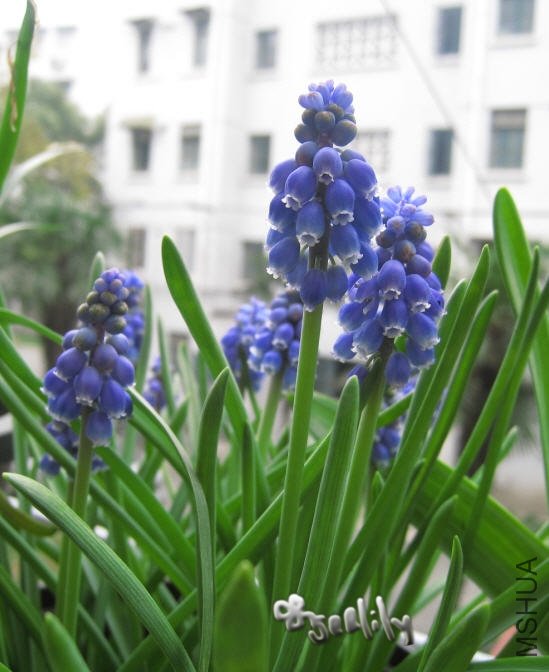 2010-03-20 ���ѷ�-Ⱥ��-do.jpg