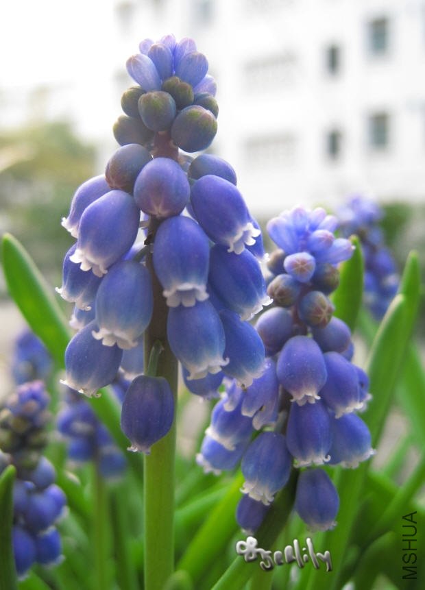 2010-03-20 ���ѷ��������д-do.jpg