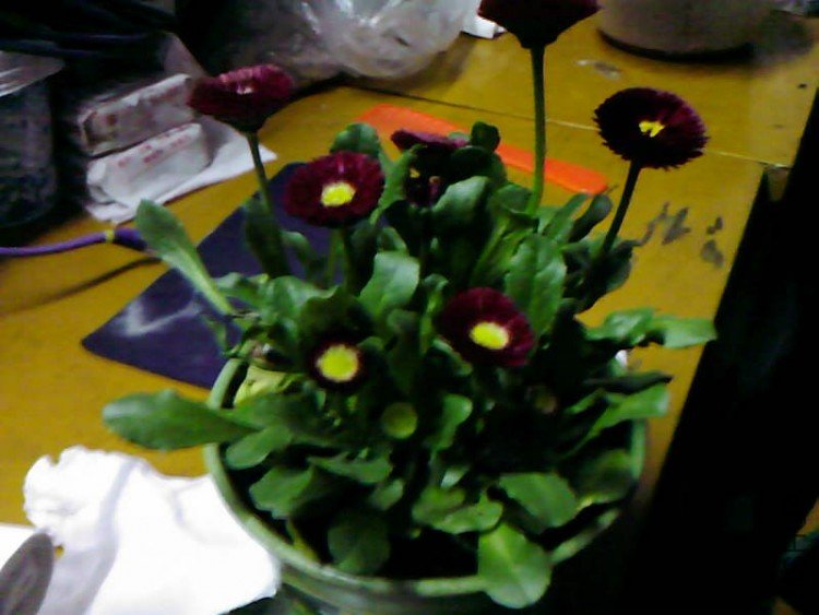 ��Ƭ-0982.jpg