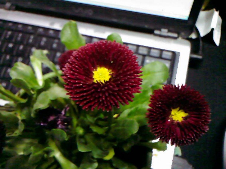 ��Ƭ-0981.jpg