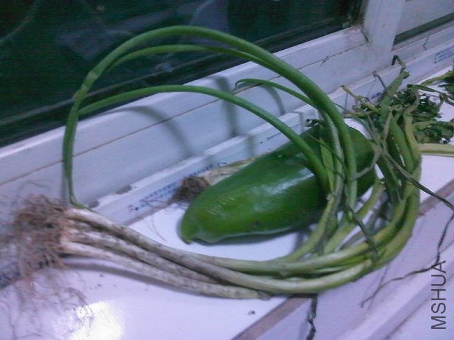 032010190335.jpg