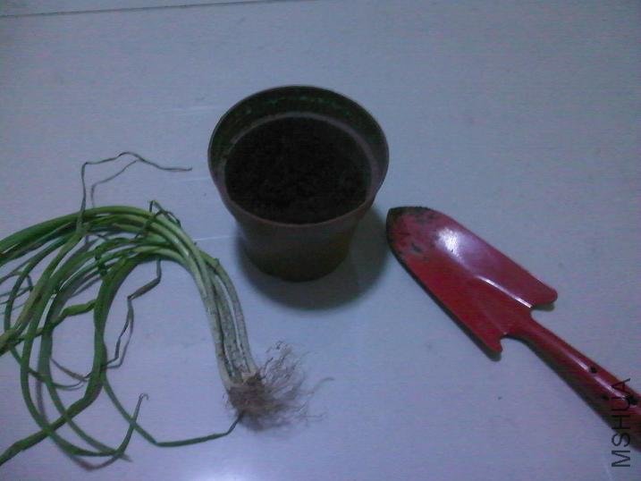 032010190615.jpg