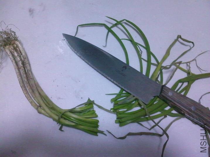 032010190716.jpg