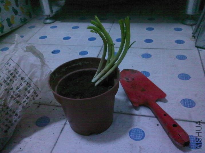 032010191239.jpg