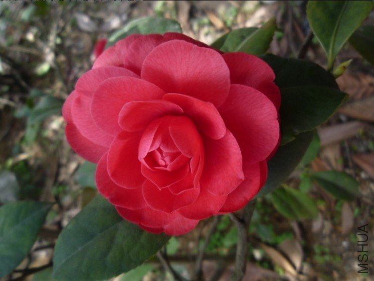 04