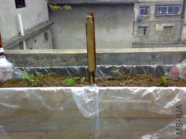 20100321069.jpg