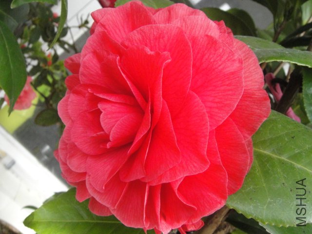 DSC01344.JPG