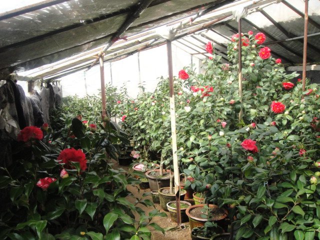 DSC01365.JPG