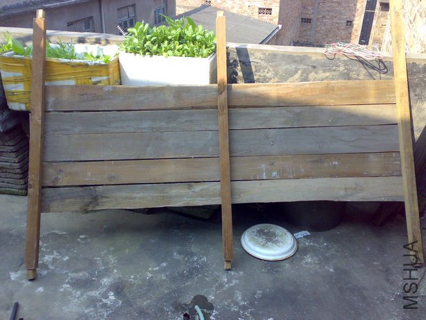 20100228005.jpg
