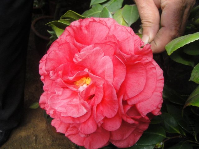 DSC01357.JPG