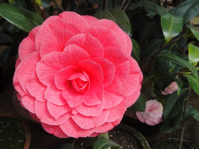 DSC01369.JPG