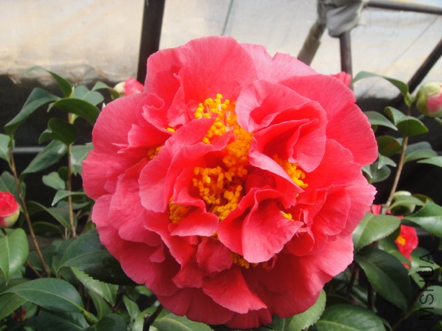 DSC01363.JPG