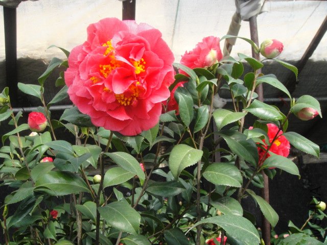 DSC01364.JPG