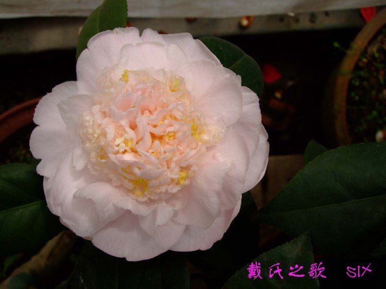 ����֮�� 10-3-21f (1).jpg