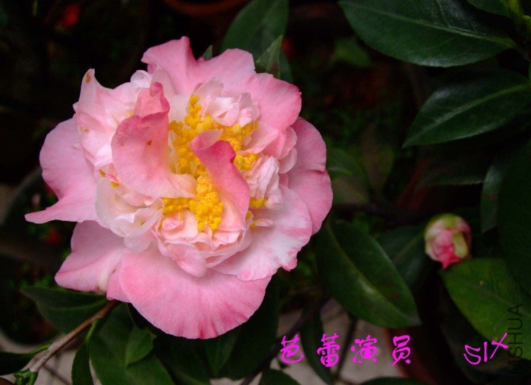 ������Ա 10-3-21f.jpg