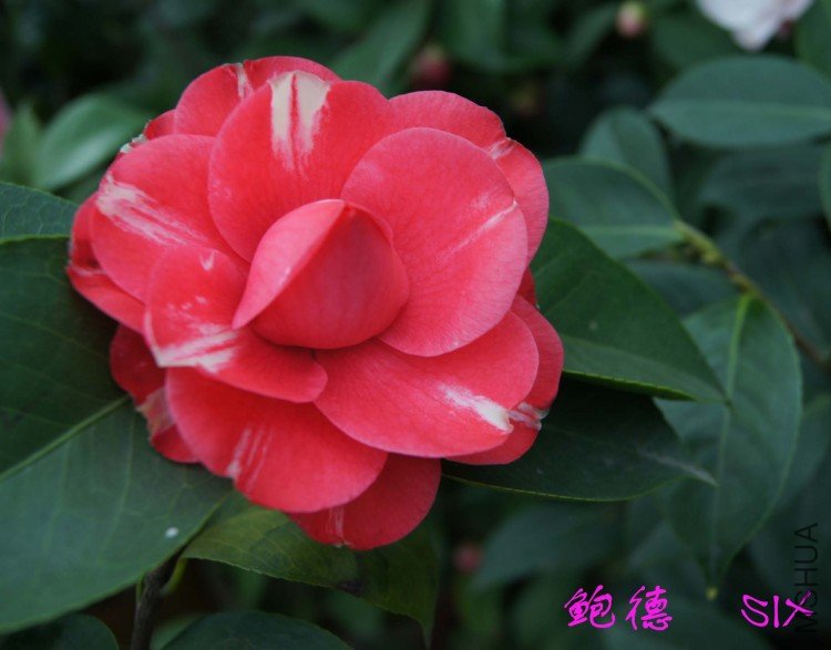 ���� 10-3-21.jpg