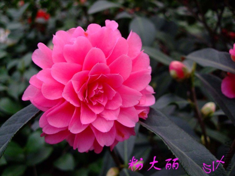 �۴��� 10-3-21f (1).jpg