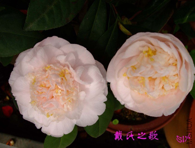 ����֮�� 10-3-21f (2).jpg