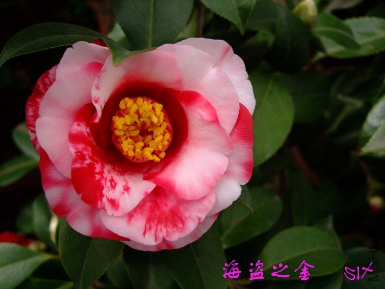 ����֮��  10-3-21f (2).jpg