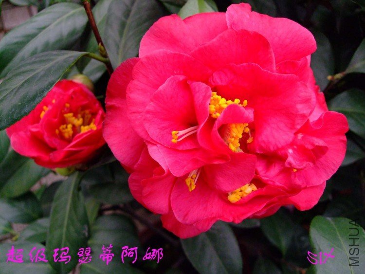 ������ɪ 10-3-21f (1).jpg