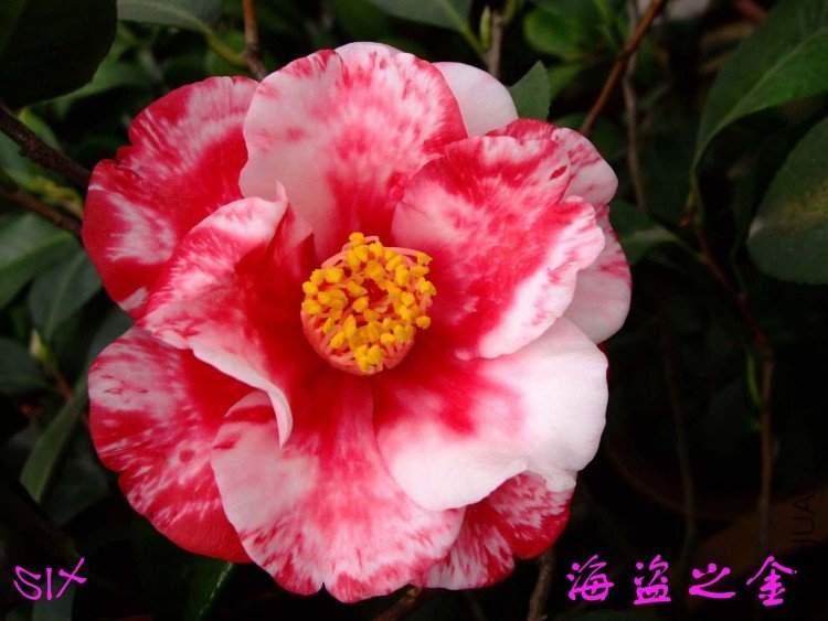 ����֮��  10-3-21f(1).jpg