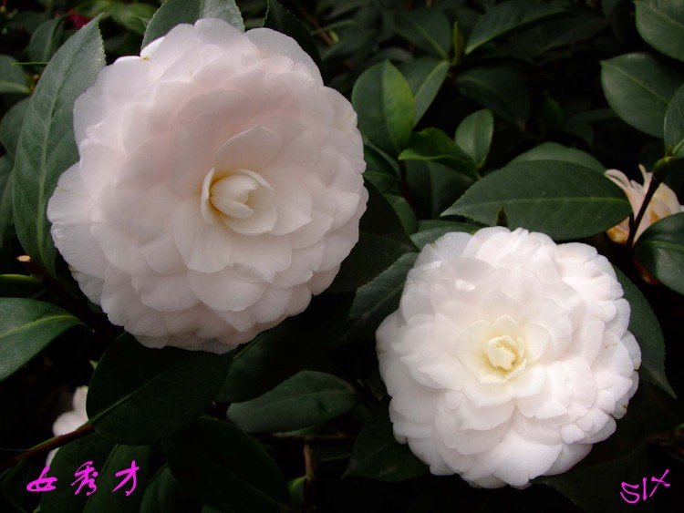 Ů��� 10-3-21f (1).jpg