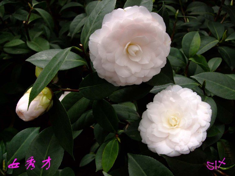 Ů��� 10-3-21f (2).jpg