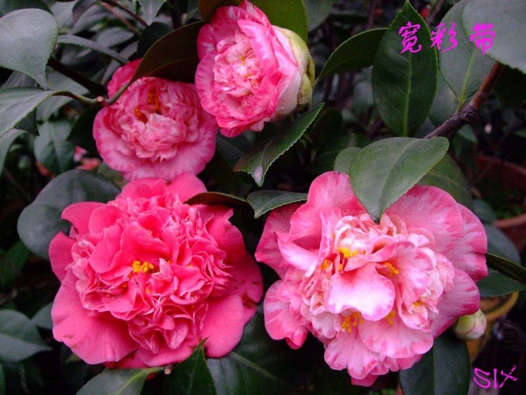 ���ʴ� 10-3-21f (1).jpg