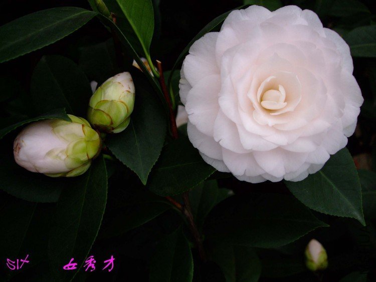 Ů��� 10-3-21f (3).jpg