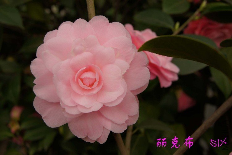 ���˲� 10-3-21.jpg