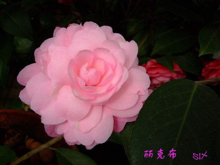 ���˲� 10-3-21f (2).jpg