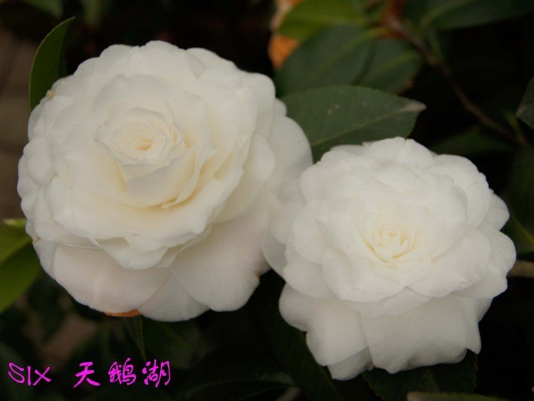 ����  10-3-21s (3).jpg