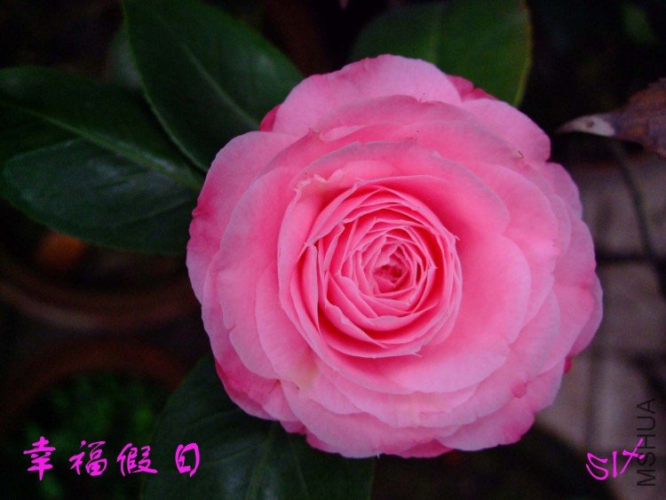 �Ҹ�����  10-3-21f (1).jpg