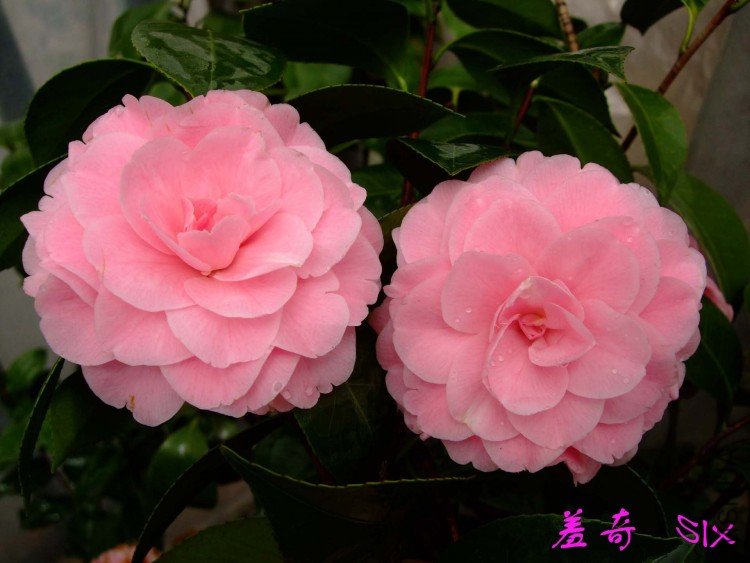 ���� 10-3-21f (2).jpg