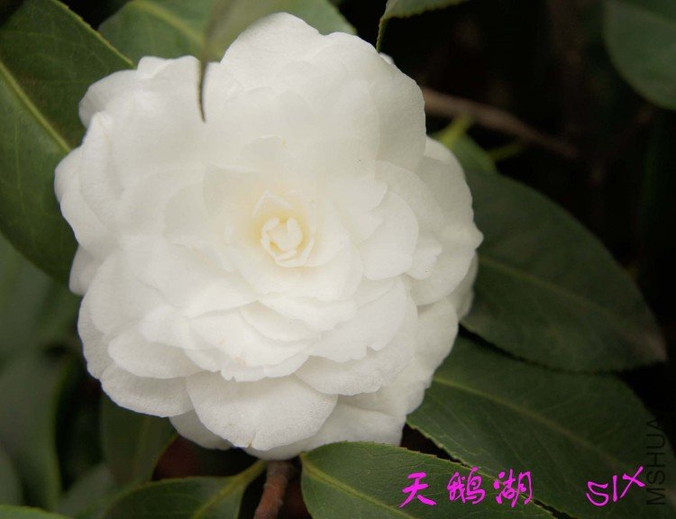 ����  10-3-21s (1).jpg