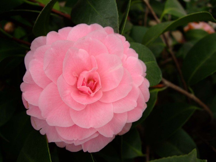 ���� 10-3-21f (1).jpg