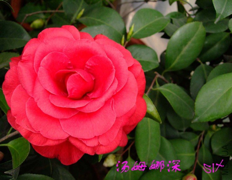 ��ķ����  10-3-21f (1).jpg