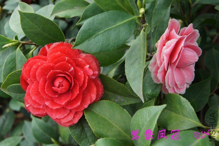 ԧ����10-3-21 (2).jpg