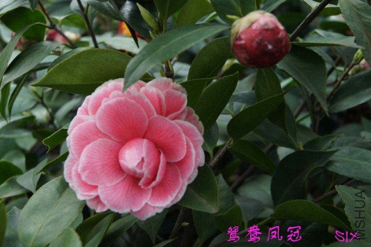 ԧ����10-3-21 (1).jpg