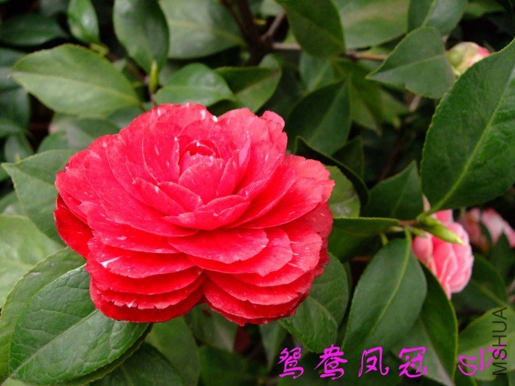 ԧ����10-3-21f (1).jpg