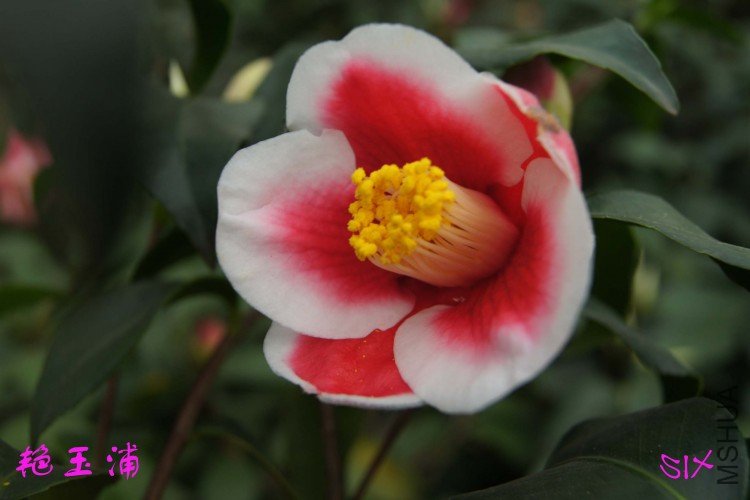 ������ 10-3-21.jpg