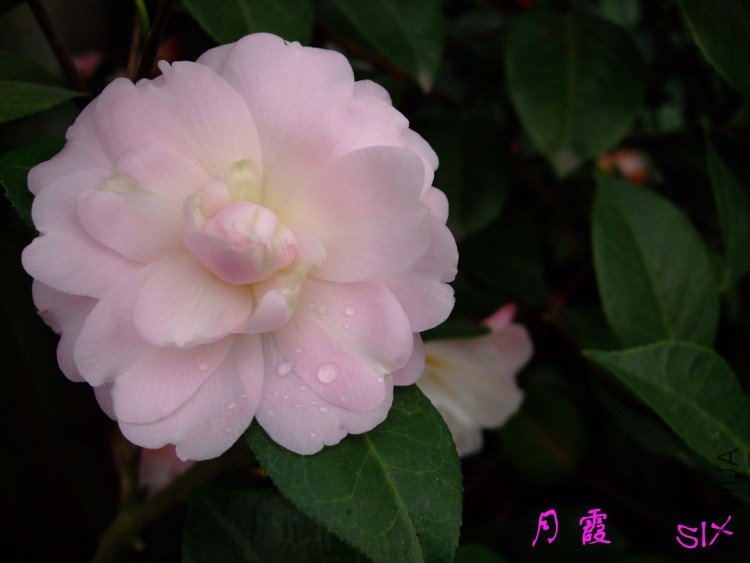 ��ϼ 10-3-21f (1).jpg