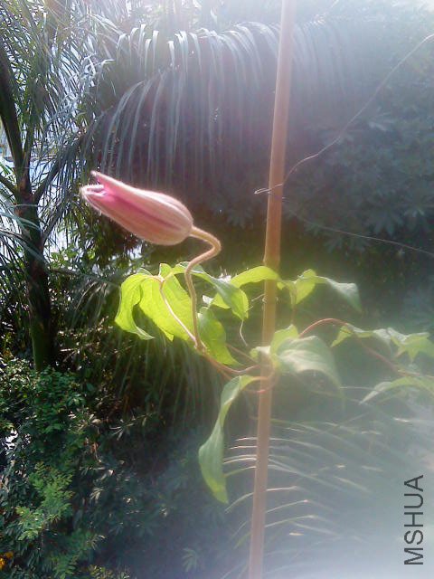 DSC01710.JPG