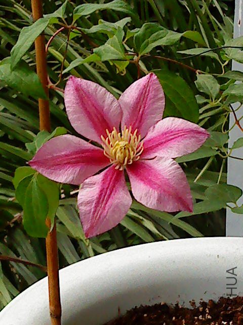 DSC01750.JPG