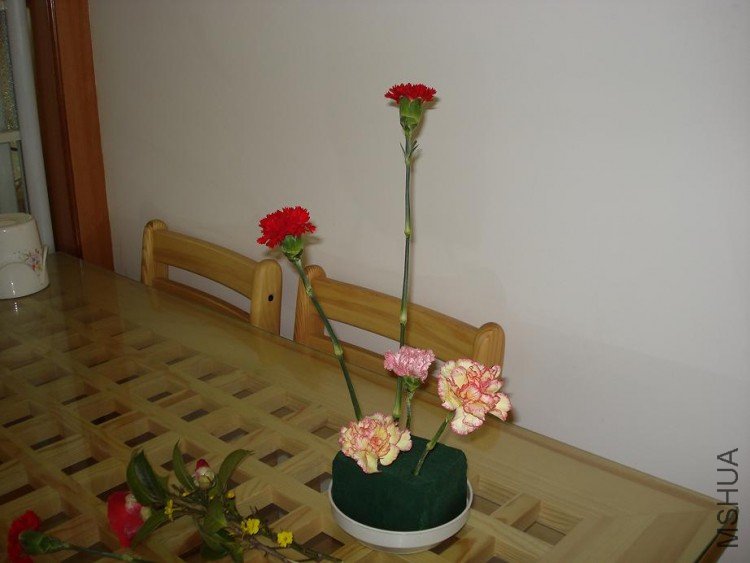 DSC03216.JPG